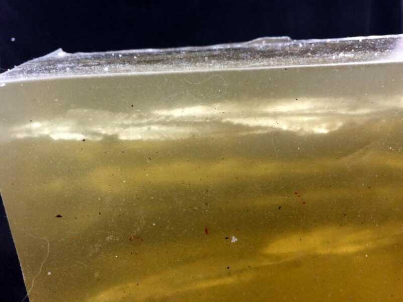 The wound tracks look like a Boston Whaler drove through the gel block.