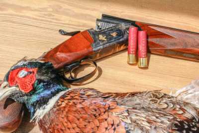 A Class Act: Fausti Class LX 28 Gauge — Full Review A Class Act: Fausti Class LX 28 Gauge — Full Review