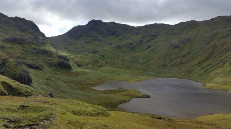 Aleutian Adventures - Caribou Aleutian Adventures - Caribou