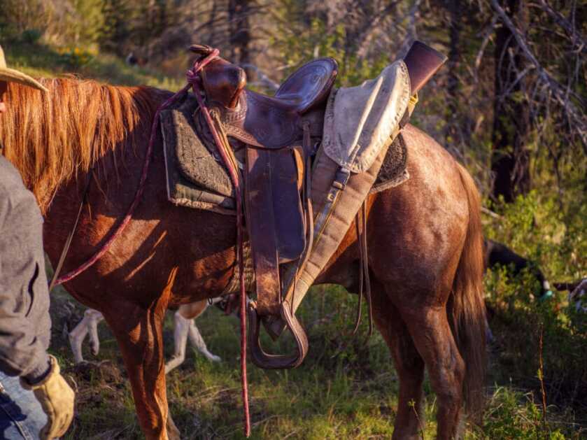 Henry's Long Ranger Is A Lever Gun For The 21st Century Henry's Long Ranger Is A Lever Gun For The 21st Century