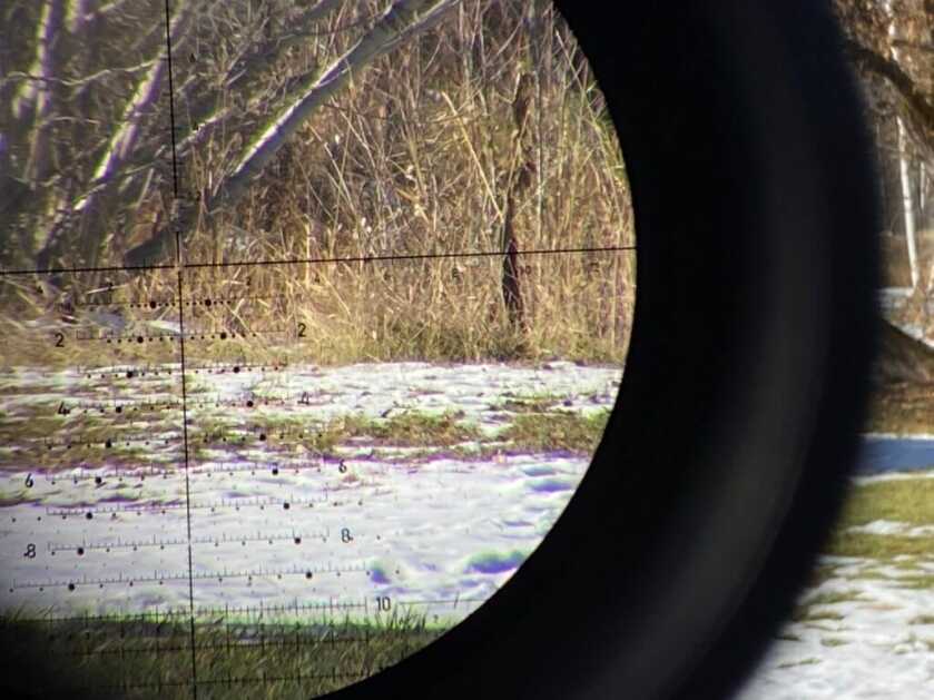 Bergara B-14 R - Best Bargain in Rimfire Rifles Bergara B-14 R - Best Bargain in Rimfire Rifles