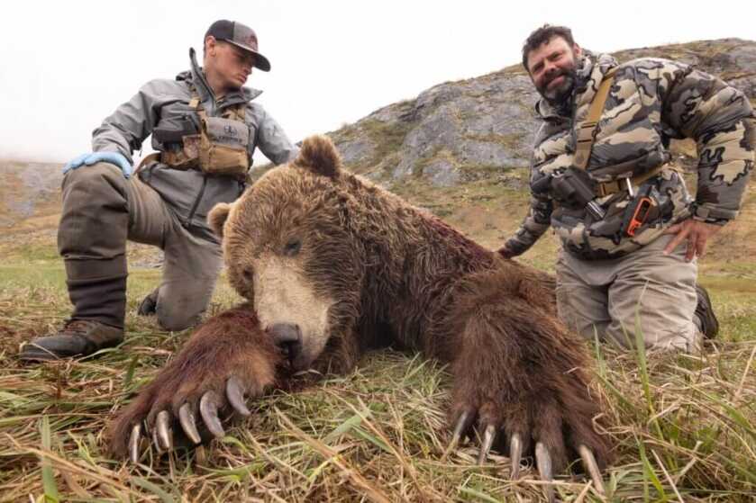 Is Bigger Always Better? Best Bear Handgun Caliber Is Bigger Always Better? Best Bear Handgun Caliber