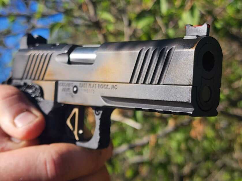 iron sights on 1911