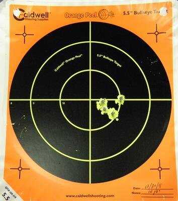 Ultimate Plinker - New Ruger SR22 Pistol