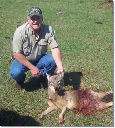 Summer Hunting Anyone?  - Varmint and Predator Hunting All Year Round