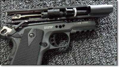 Summer Hunting Anyone?  - Varmint and Predator Hunting All Year Round