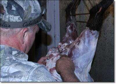 American Tactical Imports ATI 1911 .22 Rimfire with Fake Silencer- New Gun Review