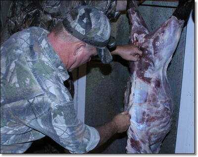 American Tactical Imports ATI 1911 .22 Rimfire with Fake Silencer- New Gun Review