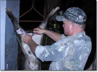 American Tactical Imports ATI 1911 .22 Rimfire with Fake Silencer- New Gun Review