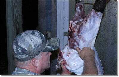 American Tactical Imports ATI 1911 .22 Rimfire with Fake Silencer- New Gun Review