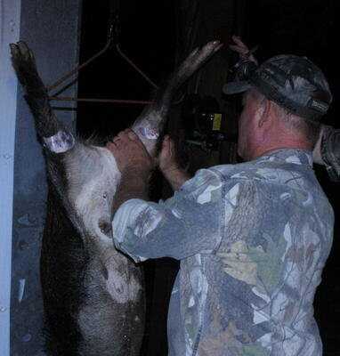 American Tactical Imports ATI 1911 .22 Rimfire with Fake Silencer- New Gun Review