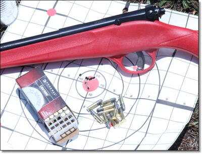 Savage Rascal .22 Single Shot Youth Rifle- Range Report