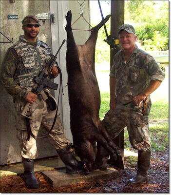 DRT Frangible .223 Ammo vs. Charging Wild Boar