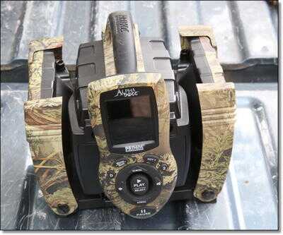 Killing Coyotes 101 - Daytime and Night Hunting Problem Coyotes