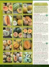 Don't get overwhelmed with varieties. Just pick a few different seeds because you are going to mess up your first batch of plants probably. 