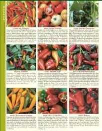 Seedsavers now also sells its own seeds with hundreds of varieties, at small and large quantities. 