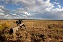 A Sub-$450 Bolt-Action Ringing Steel At 1,800 Yards — Mossberg's Patriot Predator