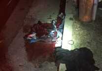 Reading This Article Will Save Your Life