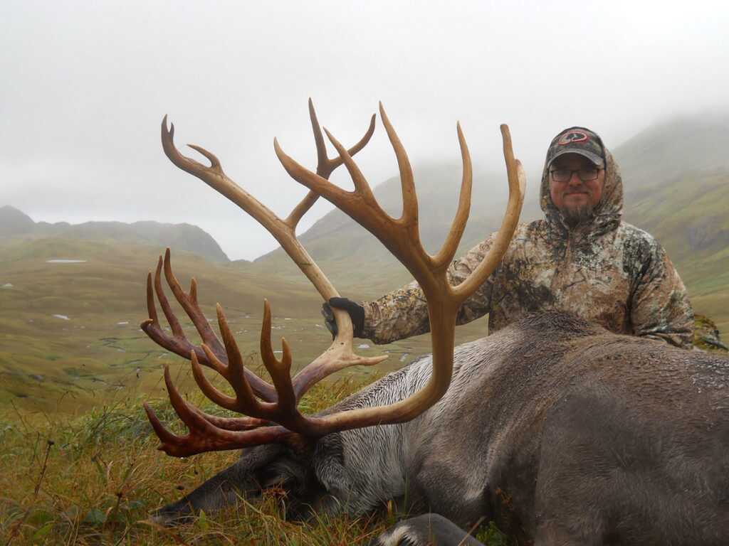Aleutian Adventures - Caribou
