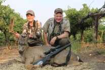 First Deer of the Year