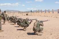 The What & the Why: Instinctive Gun Handling