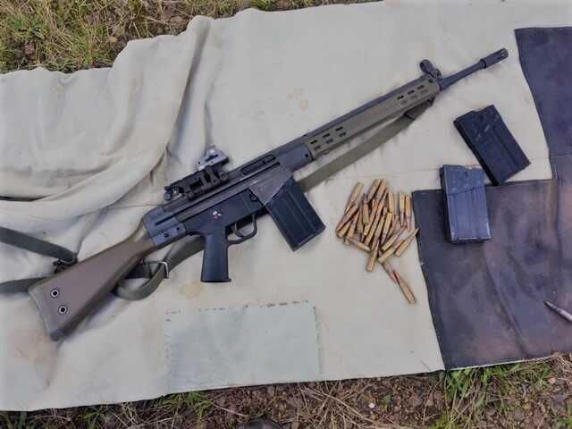 Sons the Sturmgewehr: The G3 and the PTR