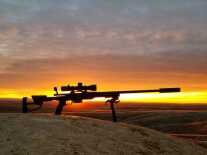 Why a Silencer Might Prevent Dementia & 17 Other Reasons You Need a Suppressor