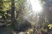 5 Dumb Hunting Mistakes I've Made