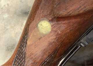 up close of rifle. Savage 99