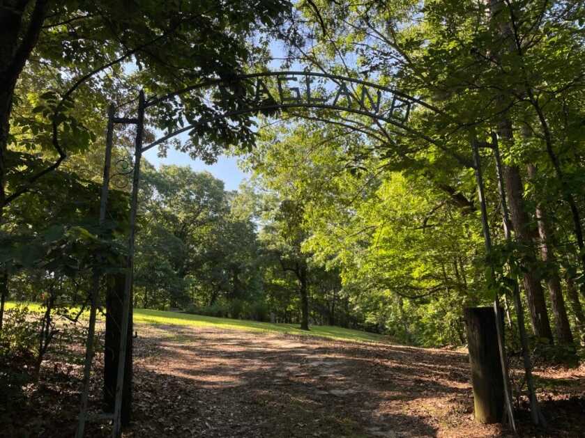 trees and a road. Elizabeth Ragland