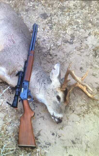 Whitetail buck taken with Marlin 336 35 Remington