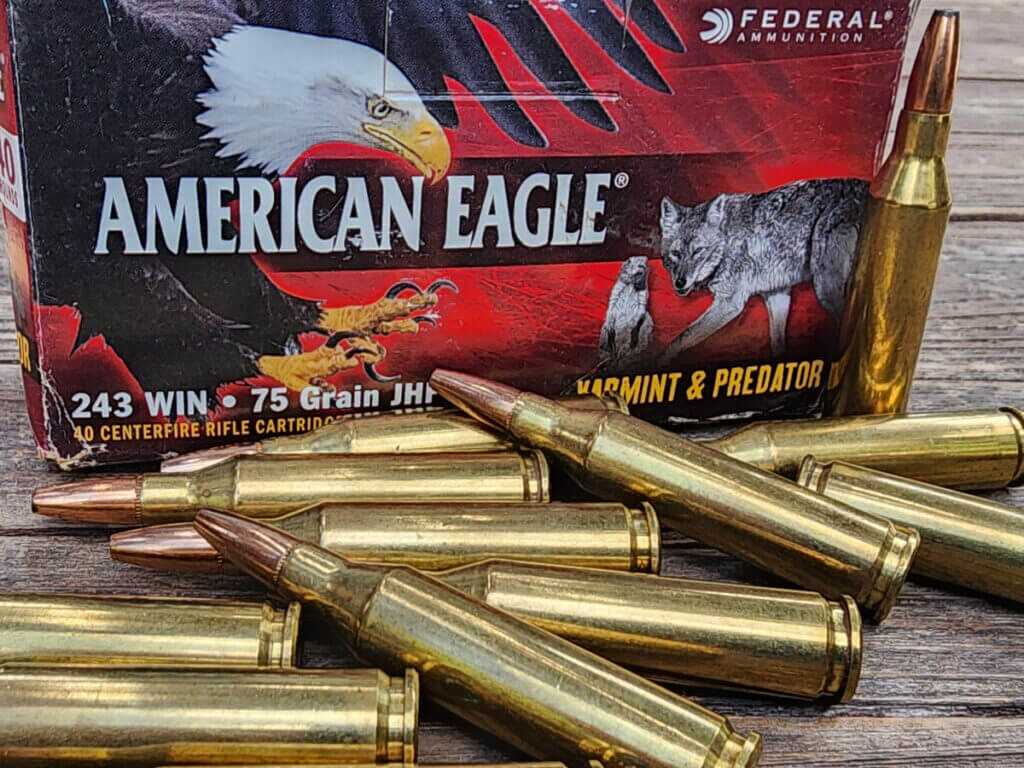 Federal American Eagle .243 Winchester varmint ammunition lined up, close view of brass and JHP bullets