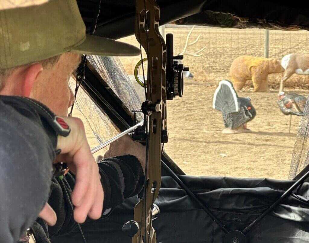 bow aimed at fake turkey 