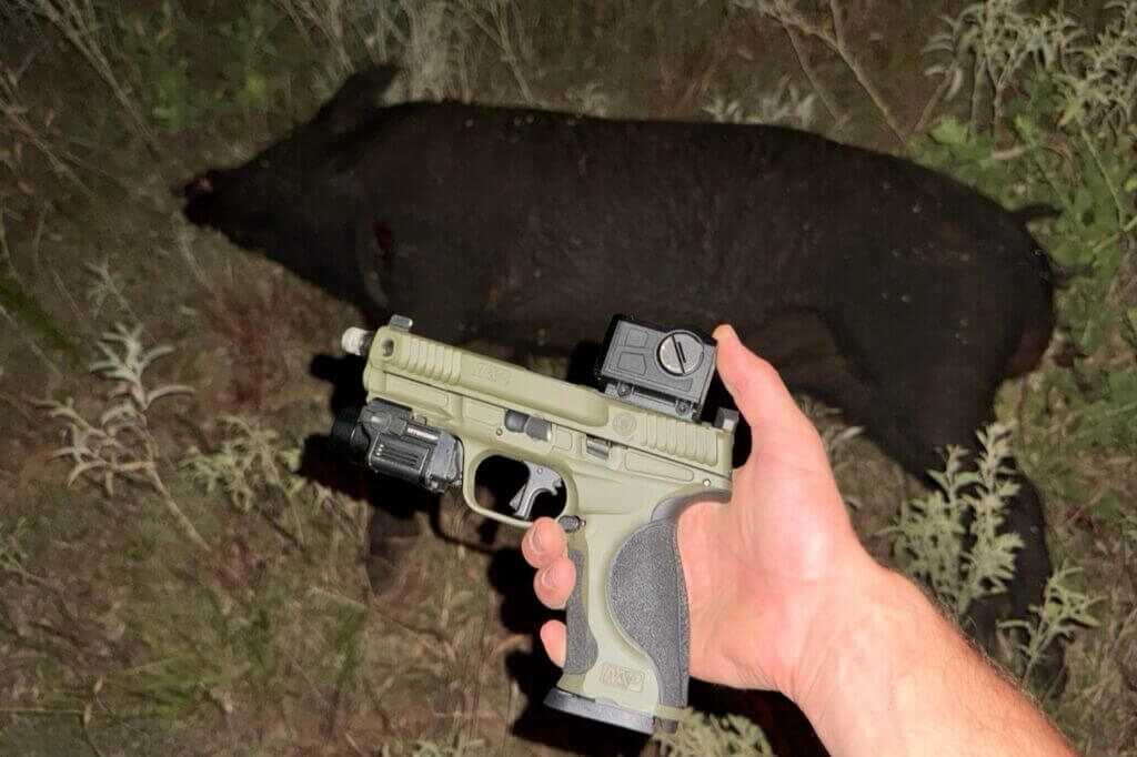 dead pig by pistol. FMP13