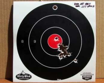 The Budget Friendly DB FS Nine New Gun Review db fs 9