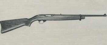 ruger-1022-e1332351180306