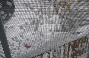 The view from my elevated deck, which over looks a small parking lot.  Believe it or not, there are cars down there.  