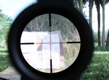 This is the reticle at 20x shown at 100 yards.