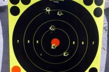 From 100 yards with the Primary Arms Micro Dot.