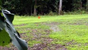 Rita shows how it’s done by powdering the black rabbit. She got the orange one on her second shot.