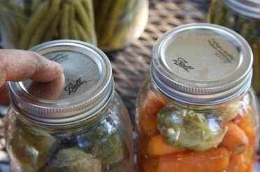 The way you can tell if your seal took is by pressing down on the lid. If it is bouncy, it didn't seal. If it is hard and concave, it sealed. 