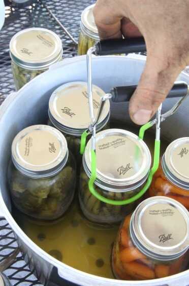 After you have reached your time requirement, DO NOT REMOVE THE WEIGHT UNTIL IT COOLS DOWN. I forgot that and my jars in this batch emptied much of their liquid into the canner, as you see from the color of the water. 