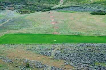 See that shrub out there? That's the 1,000 yard target berm.