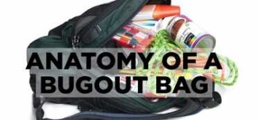 Prepping 101: NO BS Bugout Bag Basics & Essentials This image was taken from one of the hundreds of articles out there on "bugout bags." My #1 suggestion is DON'T BUG OUT! ...unless you absolutely have to. And hopefully this gave you some brainfood about what your real issues will be if you do.