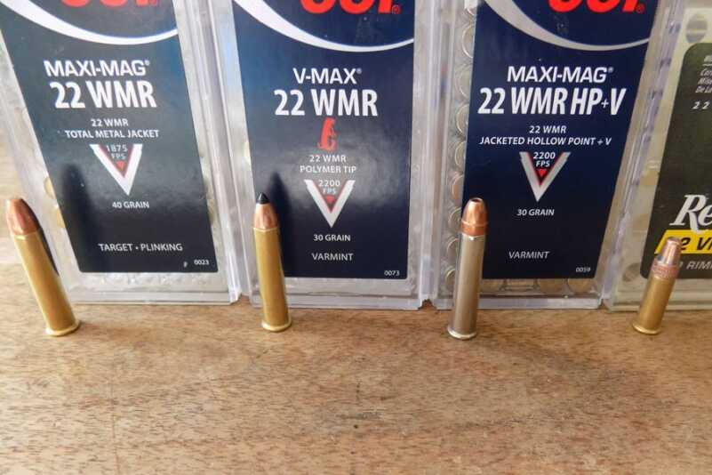 I tested the Mini with a variety of rounds.