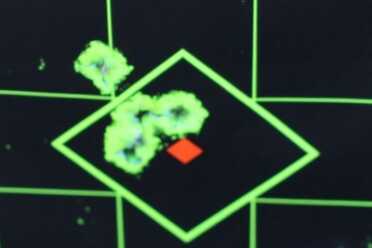 Shooting History: The Colt Woodsman Another group from 25 feet, the floater is my fault.