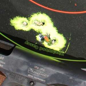 Full magazine from 15 feet. 