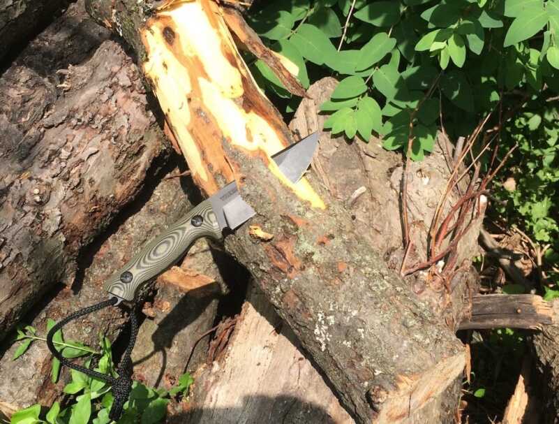 Treeman TASS: A Combat Knife Actually Used by Navy SEALs — Review The Treeman TASS.