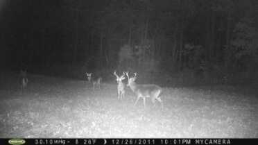 Deer Camp: Top Trail Camera Tips For Before, During & After Deer Season Keep cameras running even after hunting season ends to take an inventory of the bucks for next year.