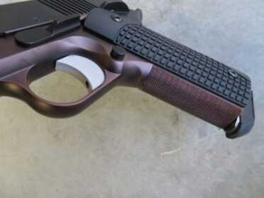 Loaded for Bear: Dan Wesson Bruin 10mm Long Slide – Full Review